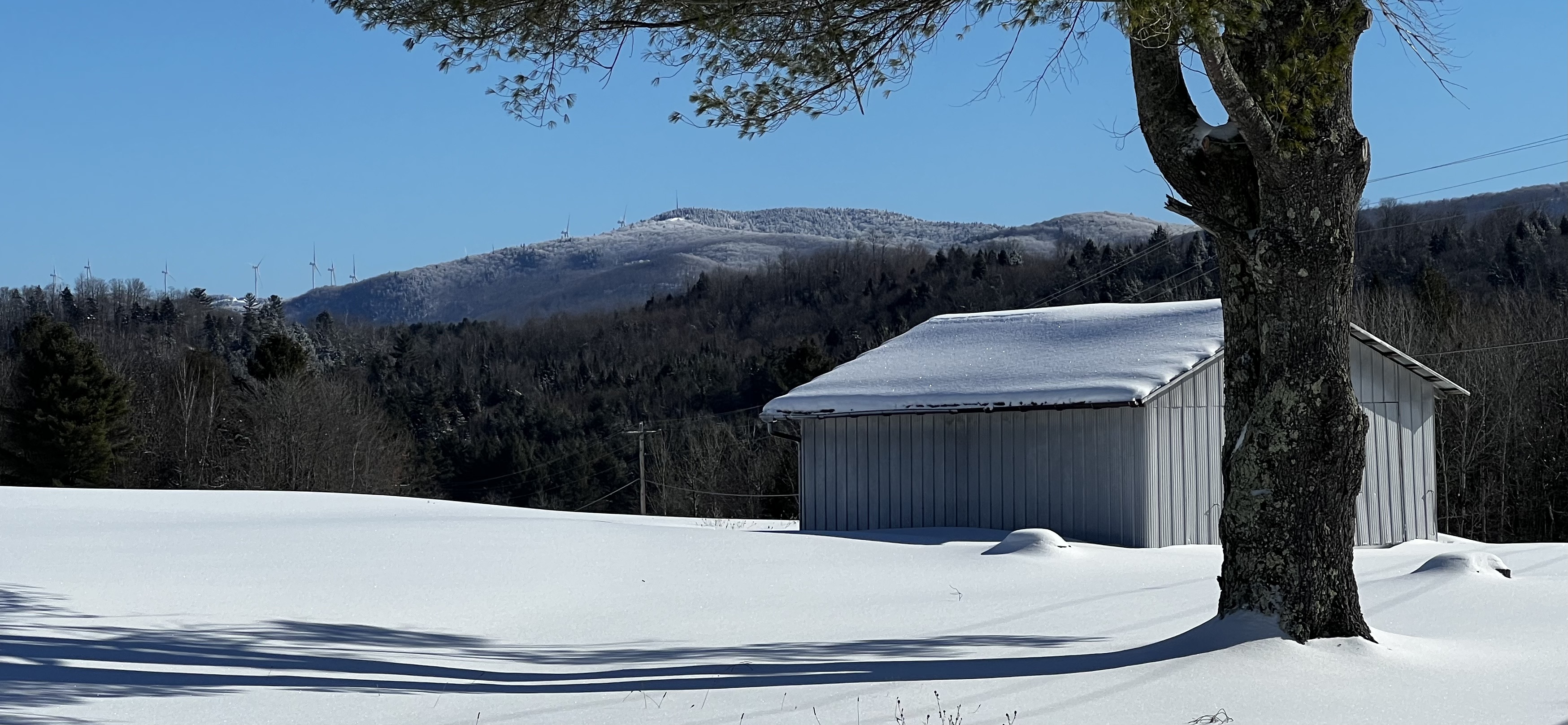 distant view in Eden VT with shed and mountain